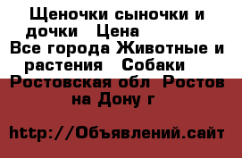 Щеночки-сыночки и дочки › Цена ­ 30 000 - Все города Животные и растения » Собаки   . Ростовская обл.,Ростов-на-Дону г.